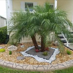 Meet your Posher, Shane